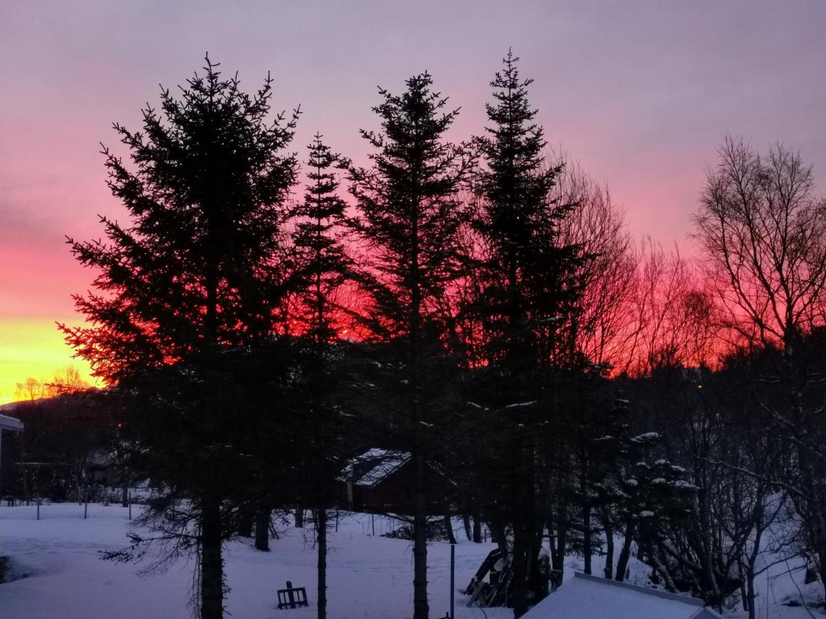Cozy Home Gravdal  Bagian luar foto